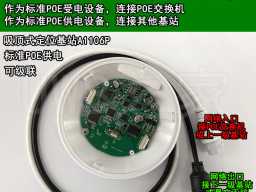 anchor-dev-2net